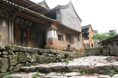 易武貢茶 q05